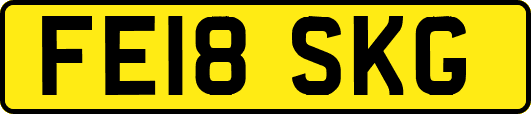 FE18SKG