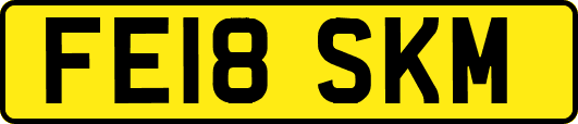 FE18SKM