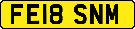 FE18SNM