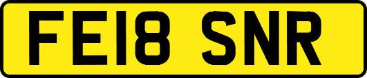 FE18SNR