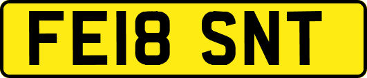 FE18SNT