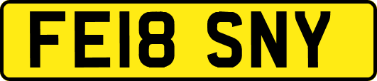 FE18SNY