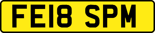 FE18SPM