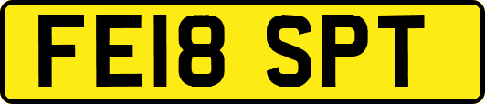 FE18SPT