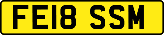 FE18SSM