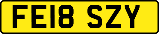 FE18SZY
