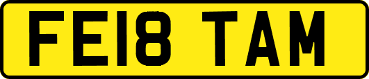 FE18TAM
