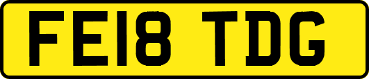 FE18TDG
