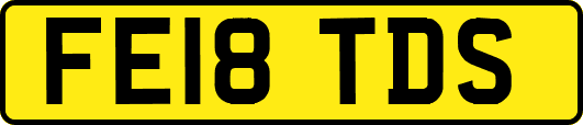 FE18TDS