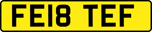 FE18TEF