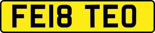 FE18TEO