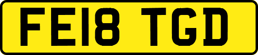 FE18TGD