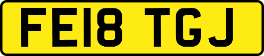 FE18TGJ