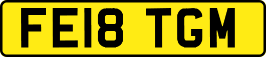 FE18TGM
