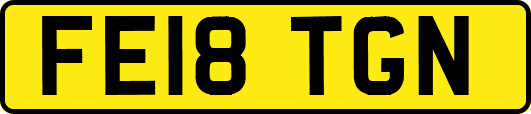 FE18TGN