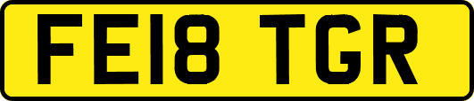 FE18TGR