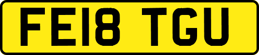 FE18TGU