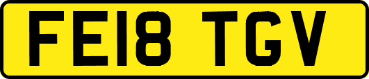 FE18TGV