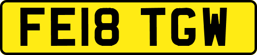 FE18TGW