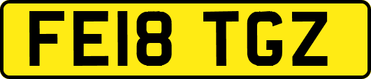 FE18TGZ