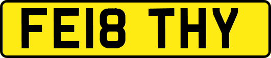FE18THY