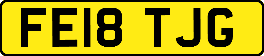 FE18TJG
