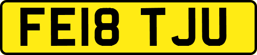 FE18TJU