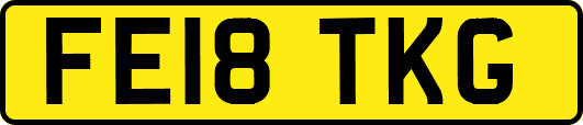 FE18TKG