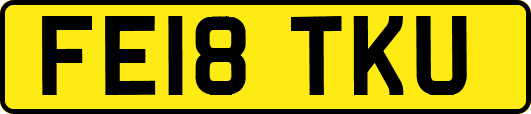 FE18TKU