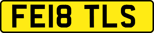 FE18TLS