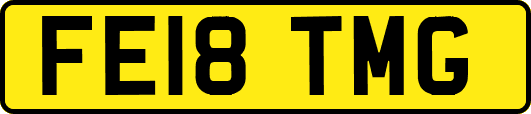 FE18TMG