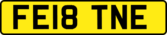FE18TNE