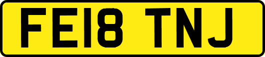 FE18TNJ