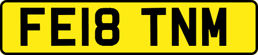FE18TNM