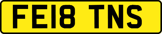 FE18TNS