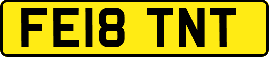 FE18TNT