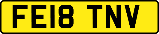 FE18TNV