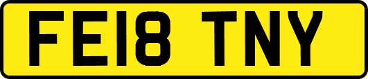 FE18TNY