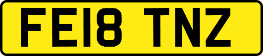 FE18TNZ