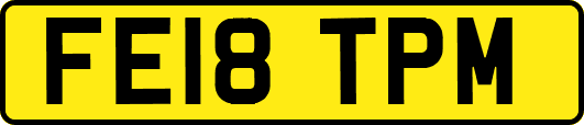FE18TPM