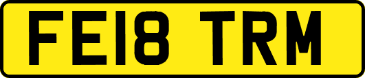 FE18TRM
