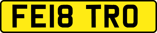 FE18TRO