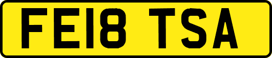 FE18TSA