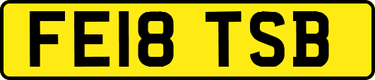 FE18TSB
