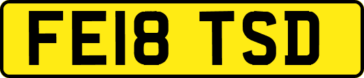 FE18TSD