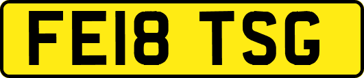 FE18TSG