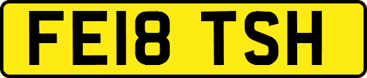 FE18TSH
