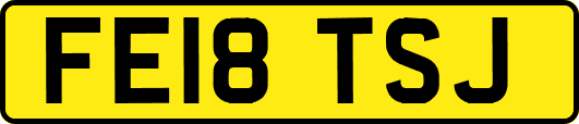 FE18TSJ