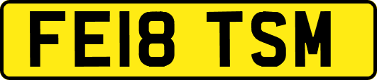 FE18TSM