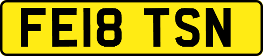 FE18TSN